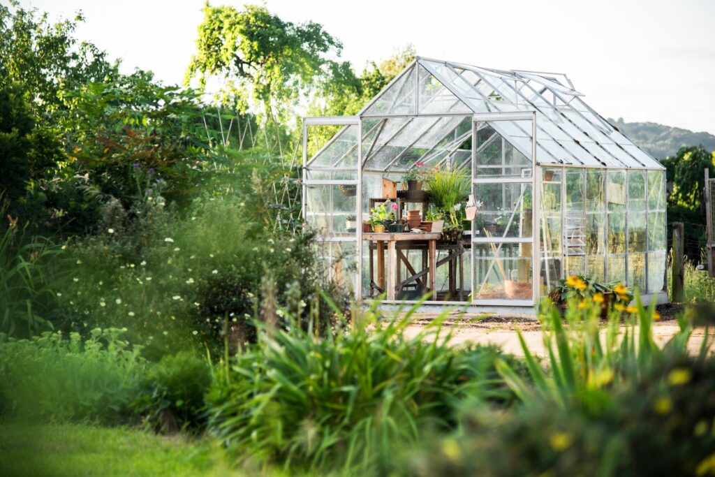 glass-greenhouse_53876-30188